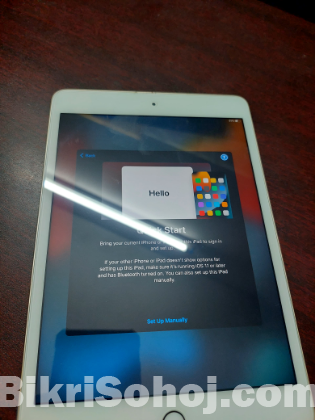 Ipad Mini 4 (Wifi) (iCloud Locked)